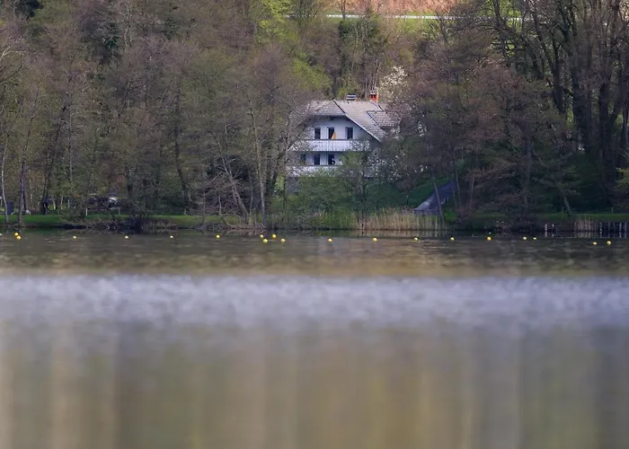 House Sebanc * ブレッド