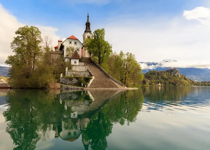 House Sebanc * 布莱德